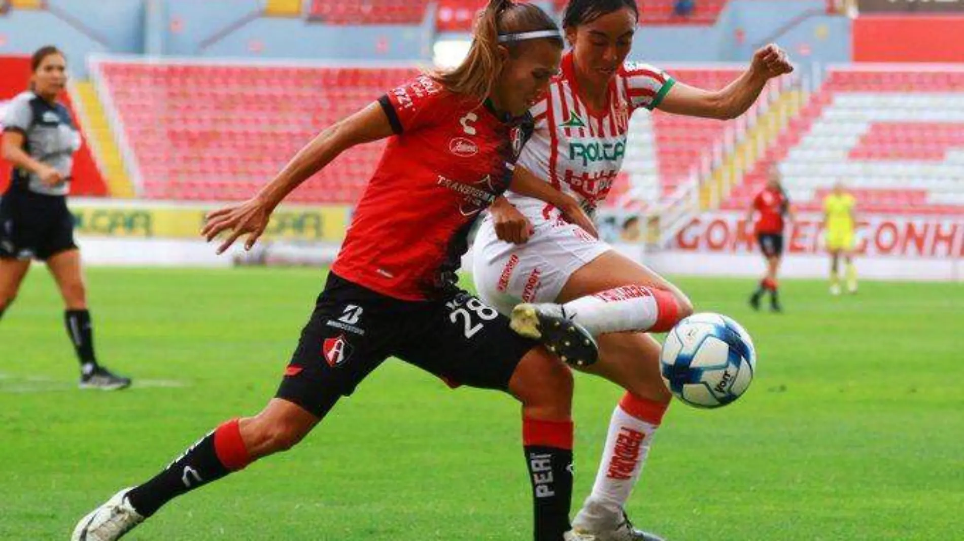 Aylas femenil